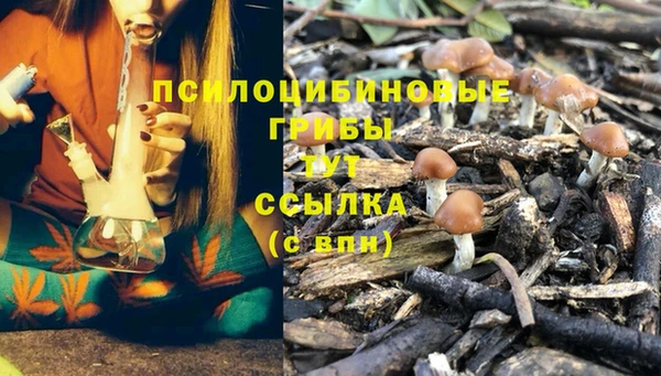 твердый Нягань