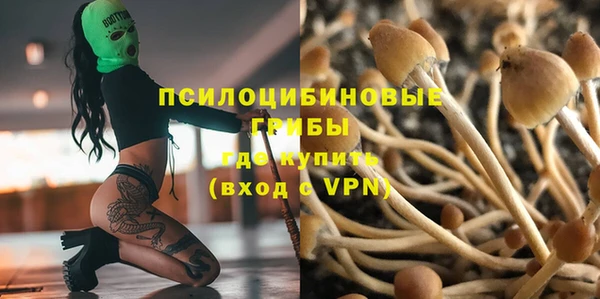 mix Няндома