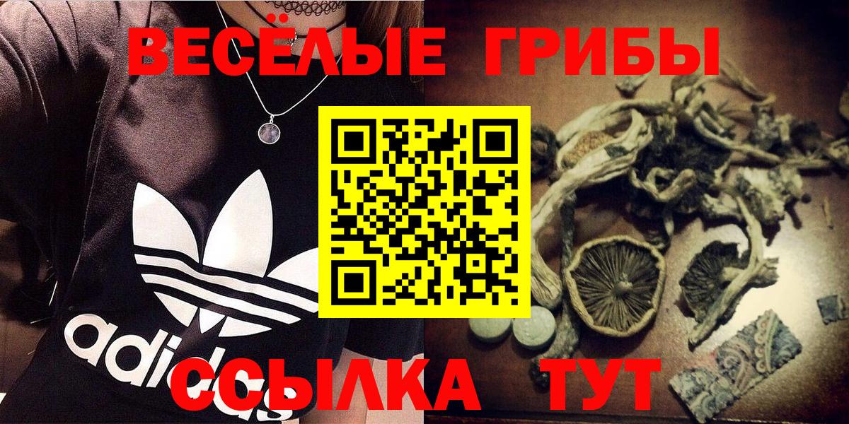 Псилоцибиновые грибы Psilocybine cubensis  продажа наркотиков  Белогорск  Вход с VPN  Галлюциногенные грибы ЛСД 