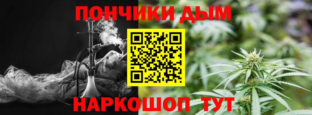 Каннабис сатива Белогорск